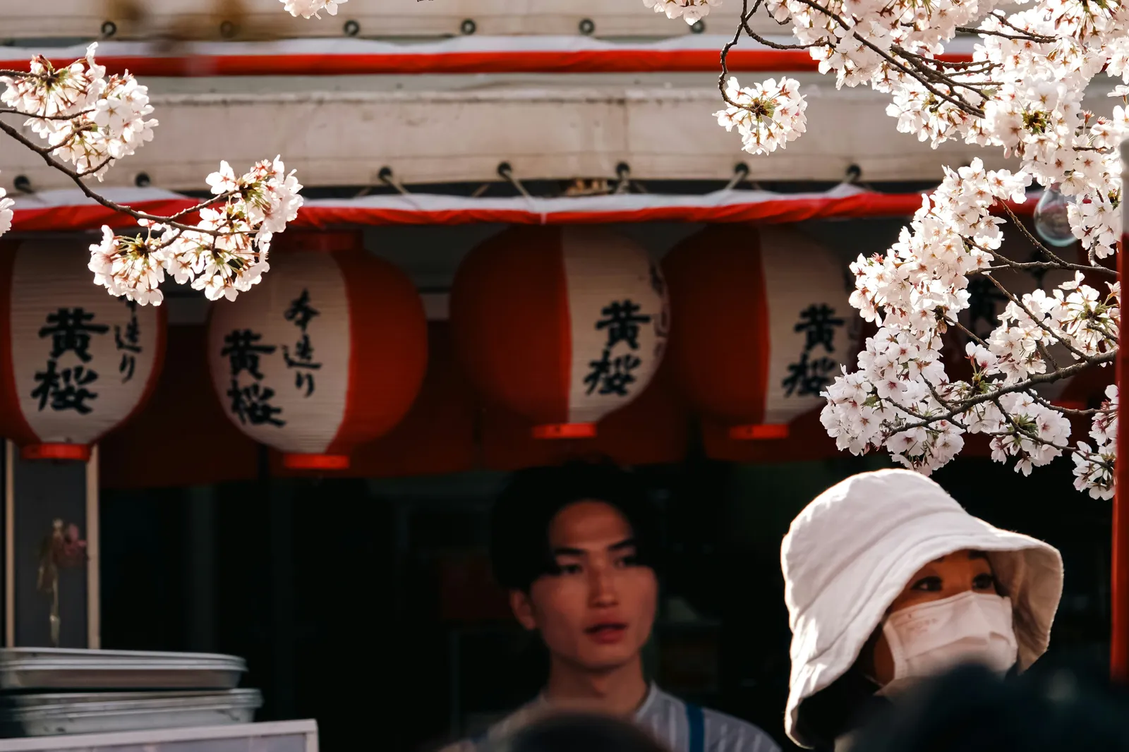 Eating in Japan in Spring: What Changes and What to Know Before You Go
